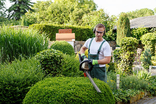 Best Artificial Turf Installation  in Lyons, KS